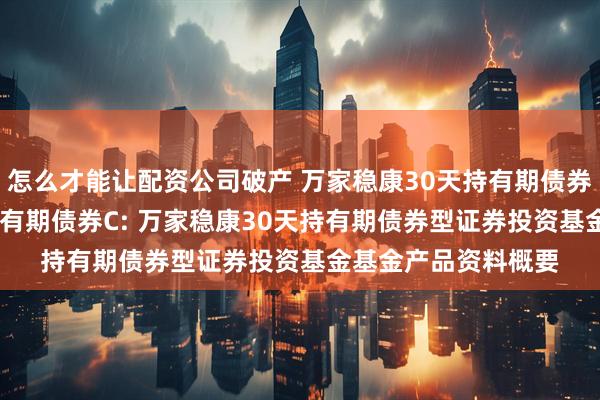 怎么才能让配资公司破产 万家稳康30天持有期债券A,万家稳康30天持有期债券C: 万家稳康30天持有期债券型证券投资基金基金产品资料概要