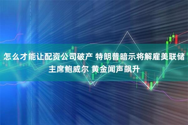 怎么才能让配资公司破产 特朗普暗示将解雇美联储主席鲍威尔 黄金闻声飙升