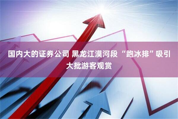 国内大的证券公司 黑龙江漠河段 “跑冰排”吸引大批游客观赏